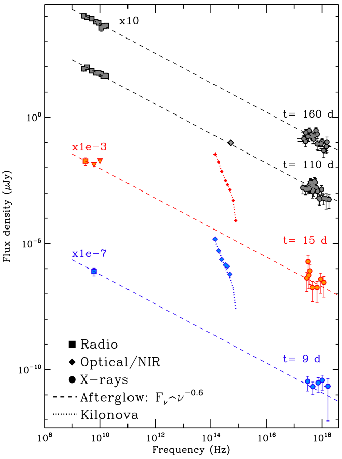 Evolution of radio, optical and X-ray fluxes to 160 days